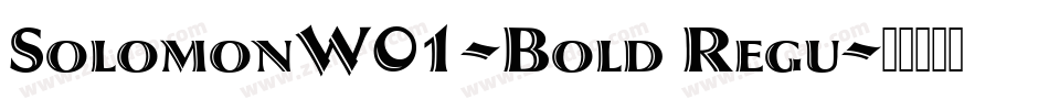 SolomonW01-Bold Regu字体转换